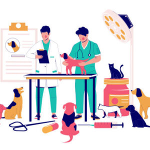 Veterinary clinic medical specialists vets examining pet dog, vector flat illustration. Veterinary office interior with doctors treating cats, dogs diseased or injured animals. Veterinarian services.